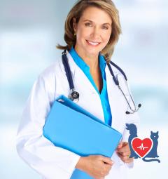 ветеринарная консультация по телефону бесплатно. Смотреть фото ветеринарная консультация по телефону бесплатно. Смотреть картинку ветеринарная консультация по телефону бесплатно. Картинка про ветеринарная консультация по телефону бесплатно. Фото ветеринарная консультация по телефону бесплатно